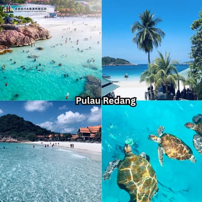 Pulau Redang crystal clear water sea turtles white beach